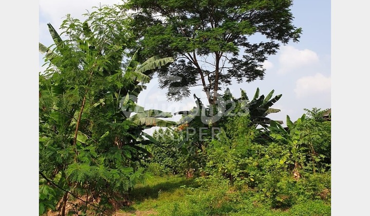 Tanah 1887 M2 SHM di Kampung Pabuaran Mustikajaya, Bekasi