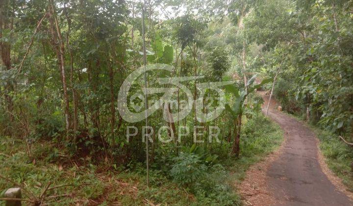 Tanah  Dijual Murah di Jl Doga Nglanggeran Patuk Gunung Kidul  1