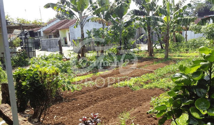 Tanah Lokasi Perumahan di Perumahan Gemilang Bogor Selatan, Bogor 2