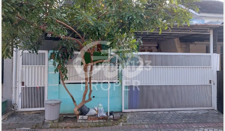 Rumah Premium Siap Huni di Patraland Tasikmadu Lowokwaru Malang