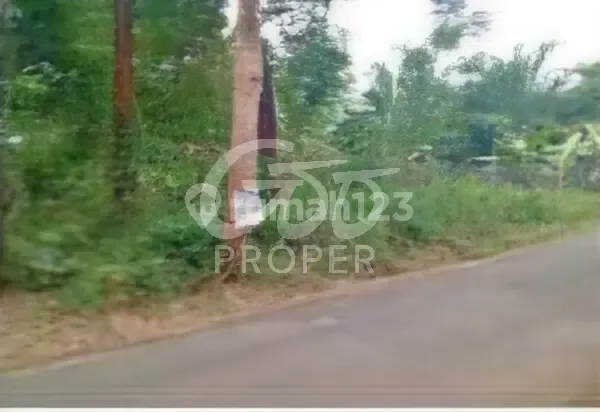 Jual Tanah Nol Jalan di Wonoplumbon Wonolopo Daerah Mijen Kota Semarang Jawa Tengah 2