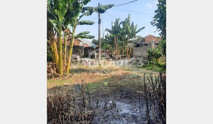 Jual Tanah Siap Pakai di Jl. Mandor Senan Cipenjo Cileungsi Bogor Timur