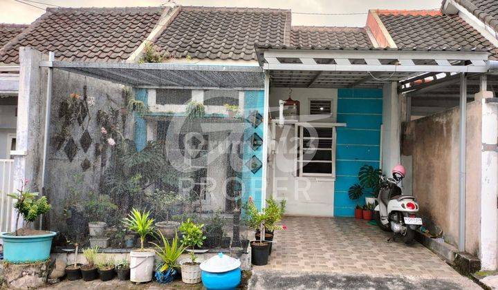 Rumah Murah Dijual di Mutiara Residence Mulyorejo Malang 1