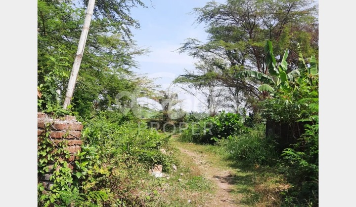 Jual Tanah SHM Jl. Bulurejo Tanjunganom Nganjuk