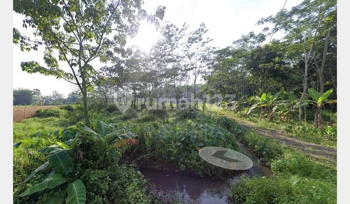 Jual Tanah Daerah Tanjungsari Kajen Kab. Pekalongan Jawa Tengah