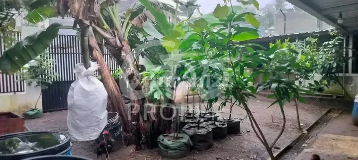 For Sale: House (Including Garden and Shed) in Tawangargo, Karangploso, Malang Regency, East Java. 2