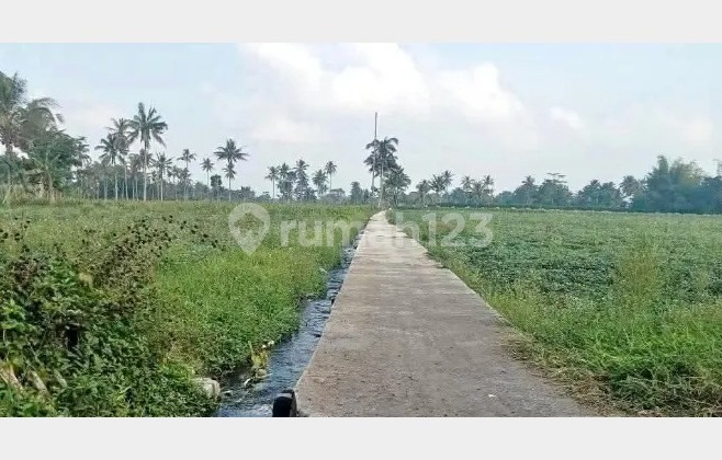 Jual Tanah Daerah Tumpang Kab. Malang Jawa Timur