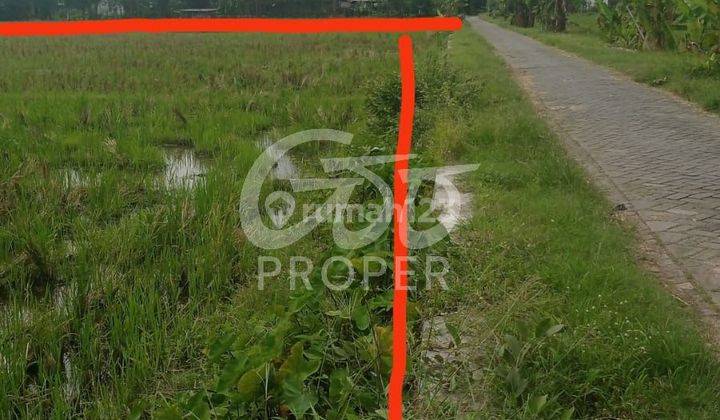 Tanah Dijual di Desa Nguken Padangan Bojonegoro 2