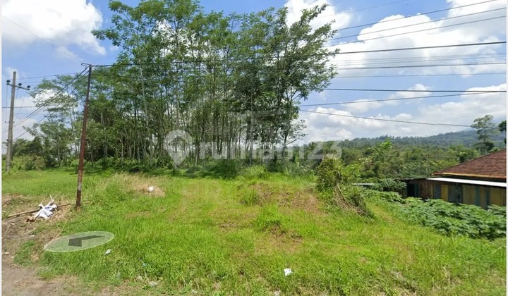 Land for Sale in Jl. Loandeng Pandanlandung, Malang Regency, East Java Land for Sale in Jl. Loandeng Pandanlandung, Malang Regency, East Java