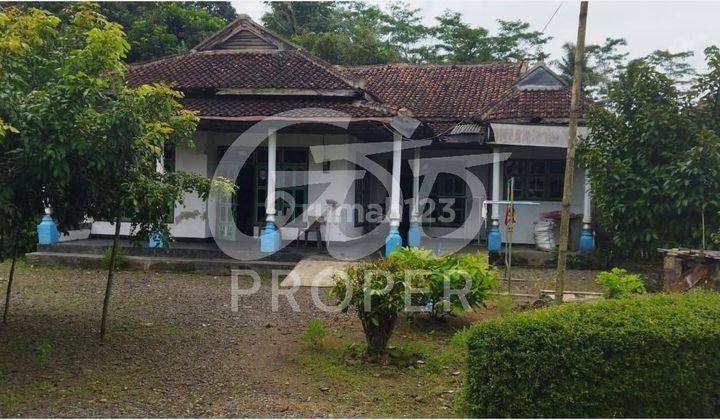 Rumah Jual Furnished SHM Jl. Blok Seger Tegalsari, Banyuwangi 1