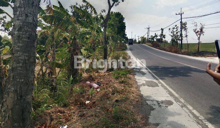 DI  TANAH INDUSTRI DI NOL JALAN RAYA MANTUP LAMONGAN- MOJOKERTO 2