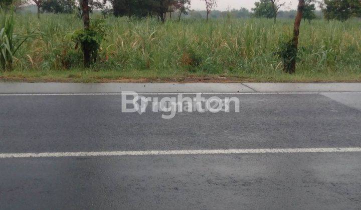 DI  TANAH INDUSTRI DI NOL JALAN RAYA MANTUP LAMONGAN- MOJOKERTO 1