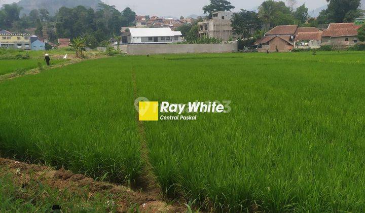 Tanah Bentuk Sawah di Mainroad Alfathu Soreang 1