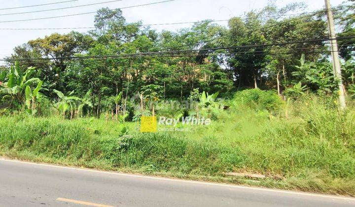 Tanah Pinggir Jalan Siap Bangun di Jalan Raya Cipatik 1