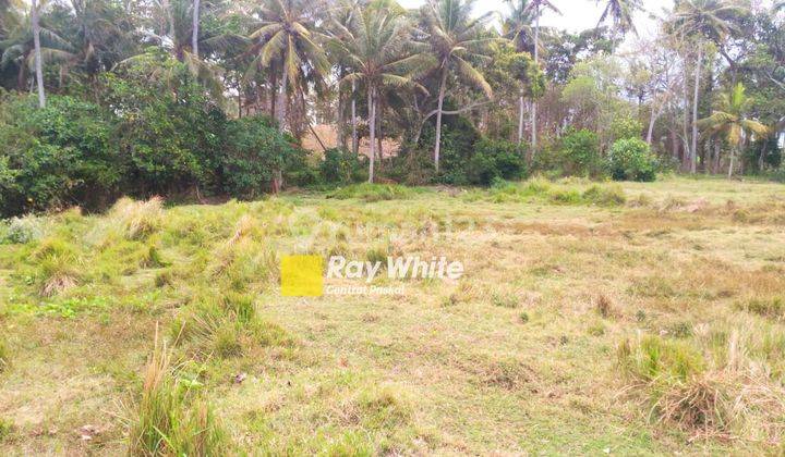 Land on Bebali Beach Tabanan Bali 1