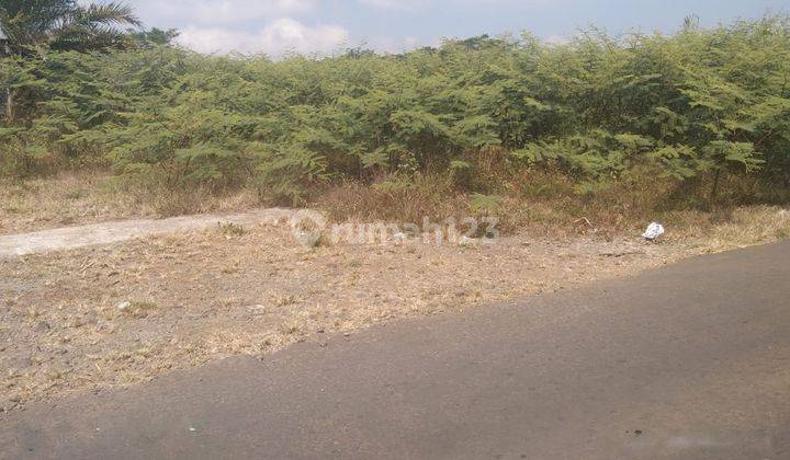 Dijual Tanah Murah Di Daerah Wagir Malang 1