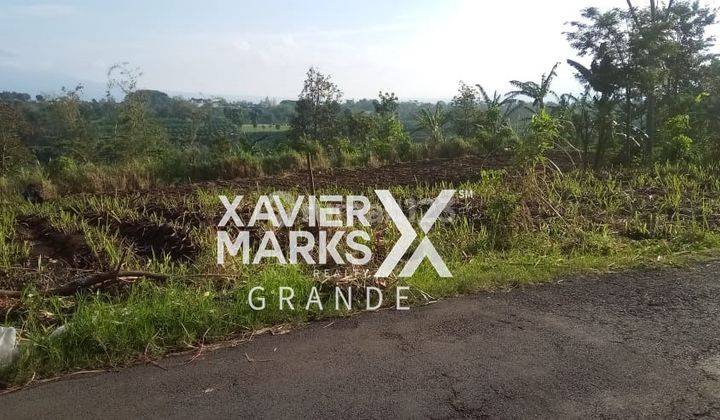 Dijual Tanah Murah Di Daerah Dau Malang 3