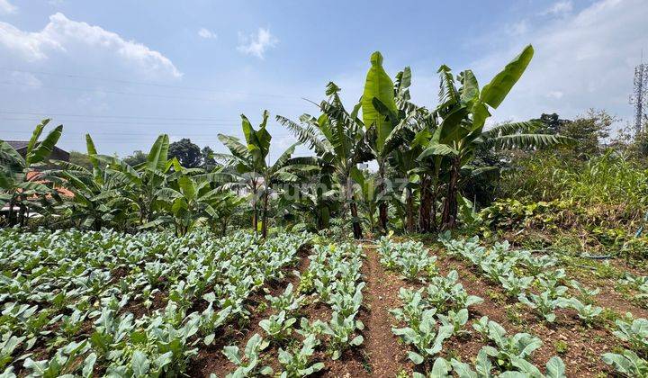 Dijual Tanah Siap Bangun Dalam Komplek Setiabudi Regency 1