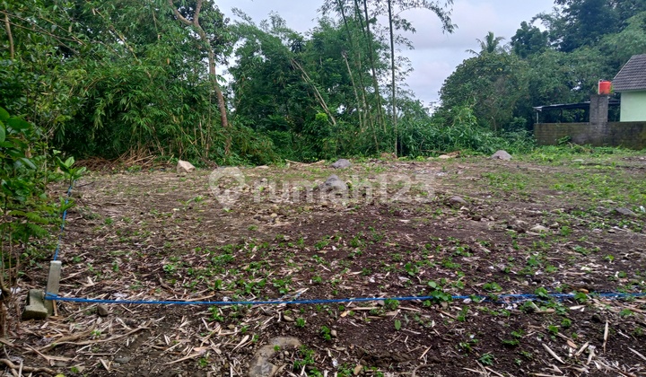 Tanah Murah Sleman SHM Pecah Dekat Rumah Makan Jejamuran Tanah Murah Sleman SHM Pecah Dekat Rumah Makan Jejamuran