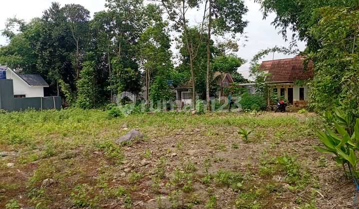Siap Balik Nama Tanah Murah di Triharjo Sleman Harga 1,9 Jt/M2 Siap Balik Nama Tanah Murah di Triharjo Sleman Harga 1,9 Jt/M2