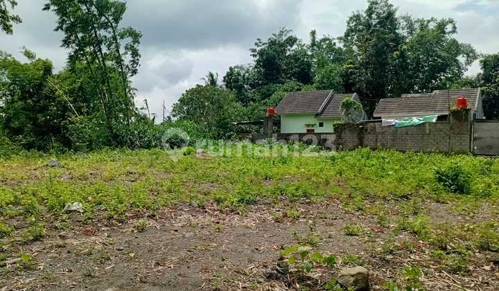 Investasi Tanah 1,9 Jutaan Sekitar Sleman Kota