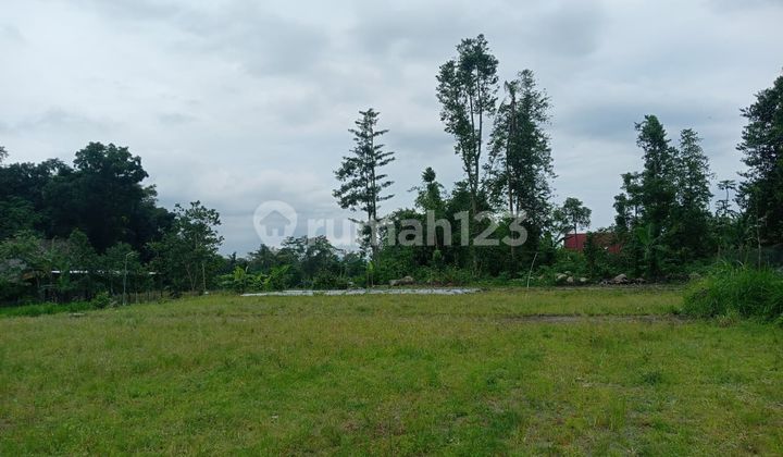 Cheap Land on Kaliurang Road Near UII Campus, Negotiable
