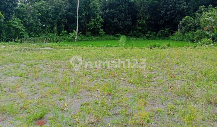Cheap Land on Kaliurang Road Near UII Campus Negotiable