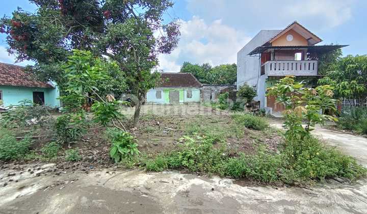 Investasi Emas Tanah di Sleman Dekat Kampus Ugm & Uny Jogja Cocok untuk Kost!