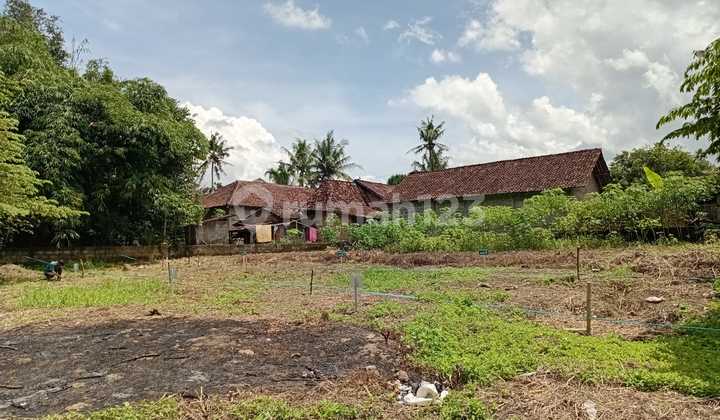 Buy Land Get House Bonus !! Can Be Installed in North Seyegan Market Buy Land Get House Bonus !! Can Be Installed in North Seyegan Market