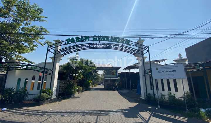 Miliki Lahan Emas Dalam Ringroad Cocok untuk Usaha, Harga Promo! Miliki Lahan Emas Dalam Ringroad Cocok untuk Usaha, Harga Promo!