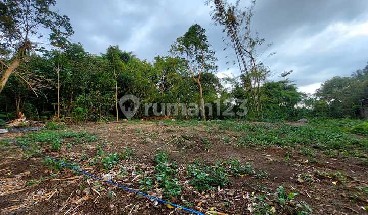 Sleman Land Plot Easy Access Quiet Environment, Bright Prospects