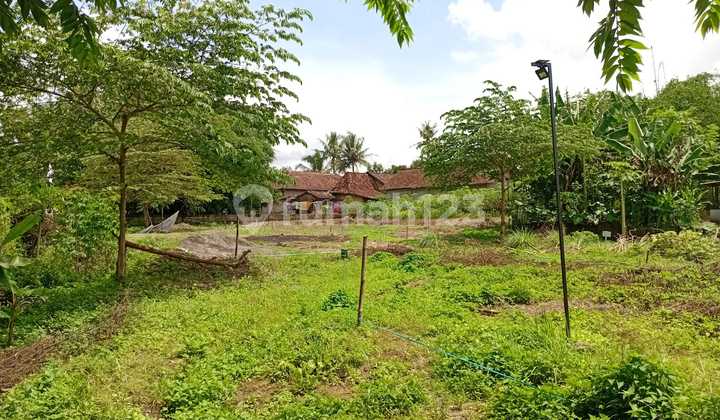 Investasi Rumah di Jogja Dekat Tol Tambakrejo Harga Mulai 299 Jt 2