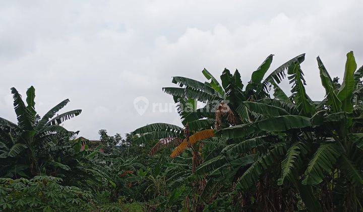 Jual Cepat! Kavling Siap Bangun Di Tambun, Nego Sampai Deal 2