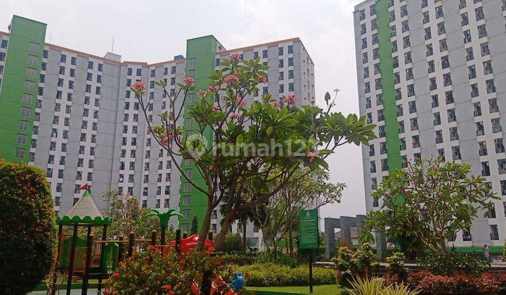 For Sale Green Lake View Ciputat Studio Super Murah Type Studio 4