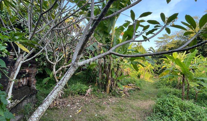 Land For Rent Banjar Semer Near Umalas / Seminyak With River View 3