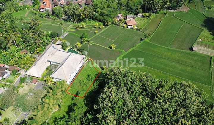 Land For Rent Ubud Area Near Furama Resort And Frangipani Villa 2