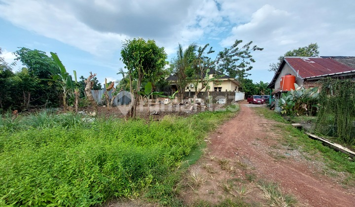 Land at Interbis Suitable for Building a Residence: SHM