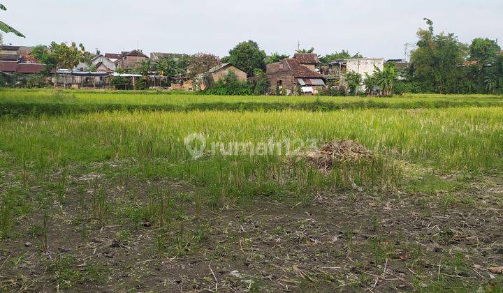 Tanah Sawah, 300 M Lap. Tamansiswa, Jogja Kota 5