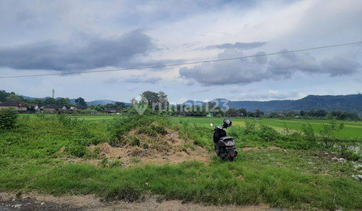 Tanah Dijual Bantul Tepi Jl. Berbah piyungan 1