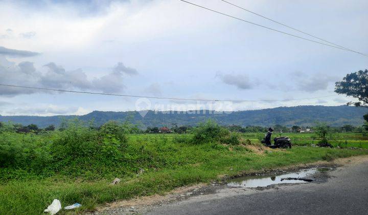 Tanah Dijual Bantul Tepi Jl. Berbah piyungan 2