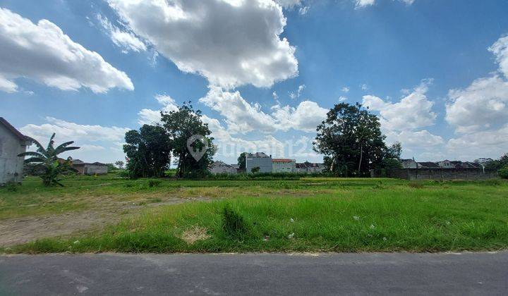 Utara Bandara Adisucipto View Sawah 1