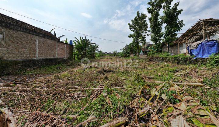 Pekarangan Tepi Jalan Dekat Kantor Kelurahan Wonokromo 2