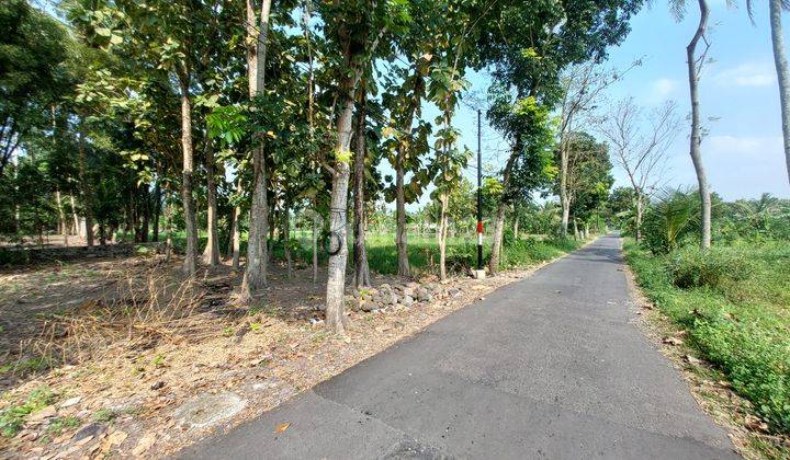 Kavling SHM P View Hamparan Sawah di Pakem Jl. Kaliurang Km 14,5 1