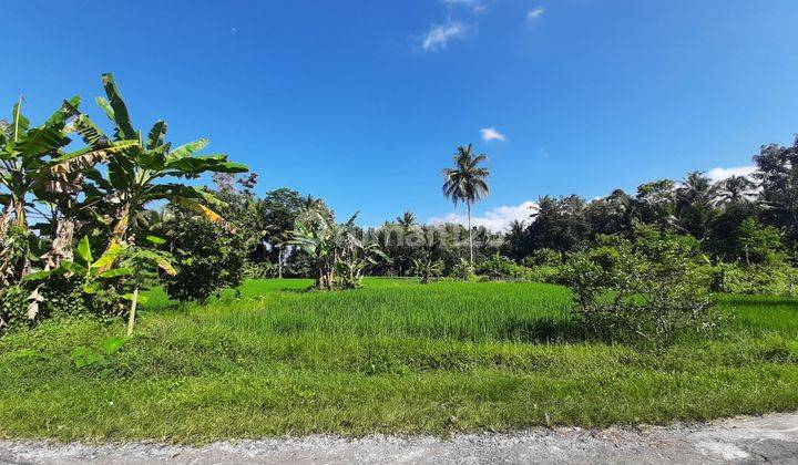 Cocok Bangun Resto/Rumah Legalitas SHM Pekarangan: Lokasi Asri 1