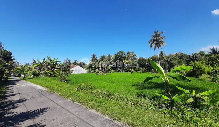 Cocok Bangun Resto/Rumah Legalitas SHM Pekarangan: Lokasi Asri 2