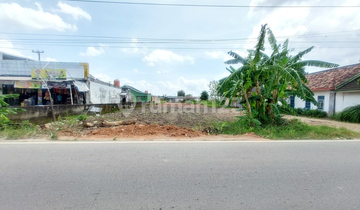 Lebih Cerdas, Beli Tanah Dulu Bangun Kemudian: SHM 2