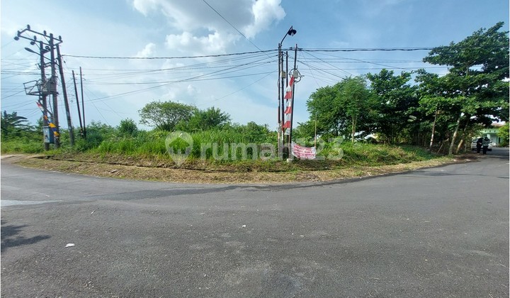 Spring Hill Residential Area, Comfortable and Safe Environment Spring Hill Residential Area, Comfortable and Safe Environment