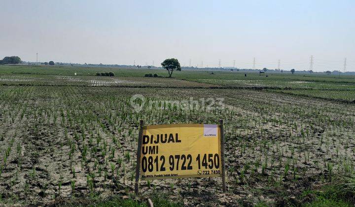 Lahan Sawah Babelan, Bekasi Barat, Jawa Barat 2