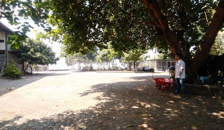 Rumah Halaman Luas View Kota Semarang 1