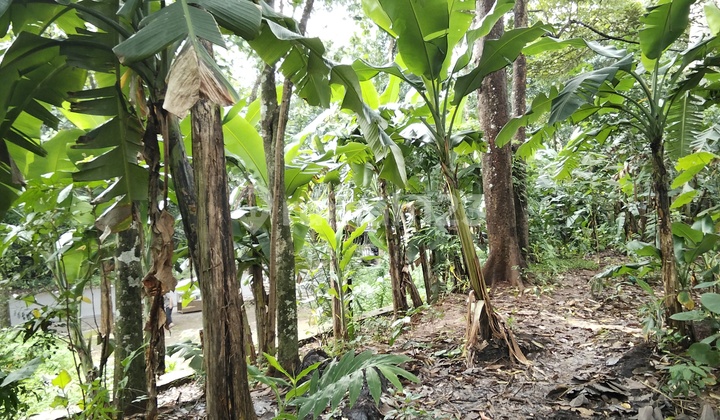 Kavling Mepet Unnes Semarang 2